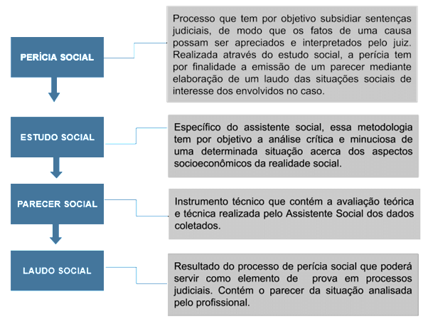 Infográfico descrevendo os instrumentais perícia social, estudo social, parecer social e laudo social. Estes relatórios são parte da instrumentalidade do serviço social.